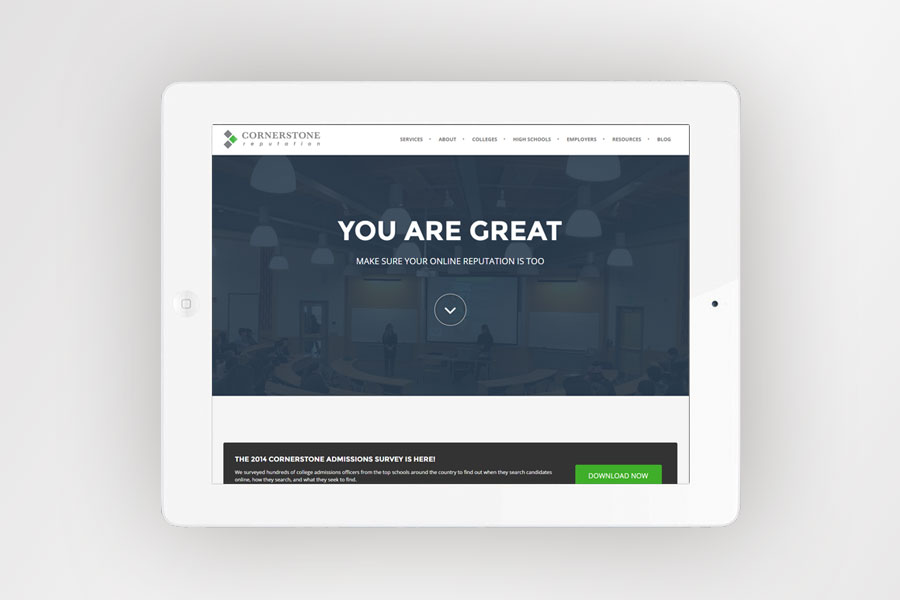 <span>Website Design & Development</span><i>→</i>